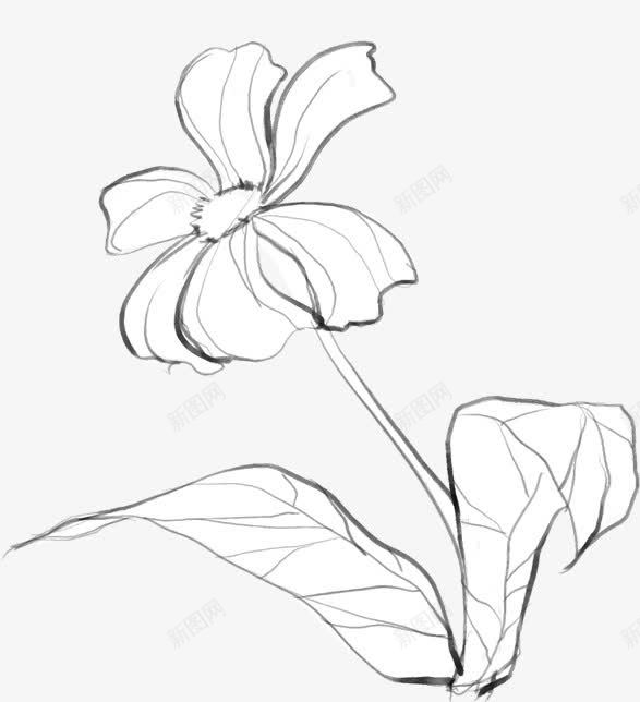 黑色清晰手绘花朵png免抠素材_新图网 https://ixintu.com 清晰 花朵 黑色