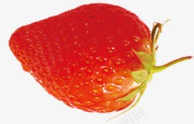 红色草莓水果海报png免抠素材_新图网 https://ixintu.com 水果 海报 红色 草莓