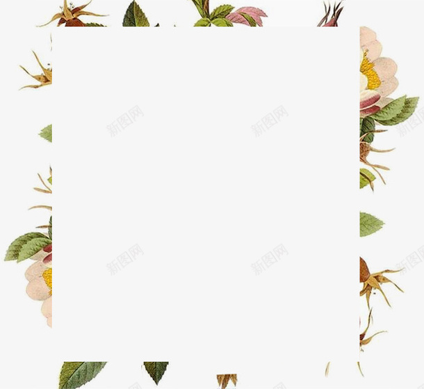 花卉植物边框png免抠素材_新图网 https://ixintu.com 植物 花卉 装饰 边框