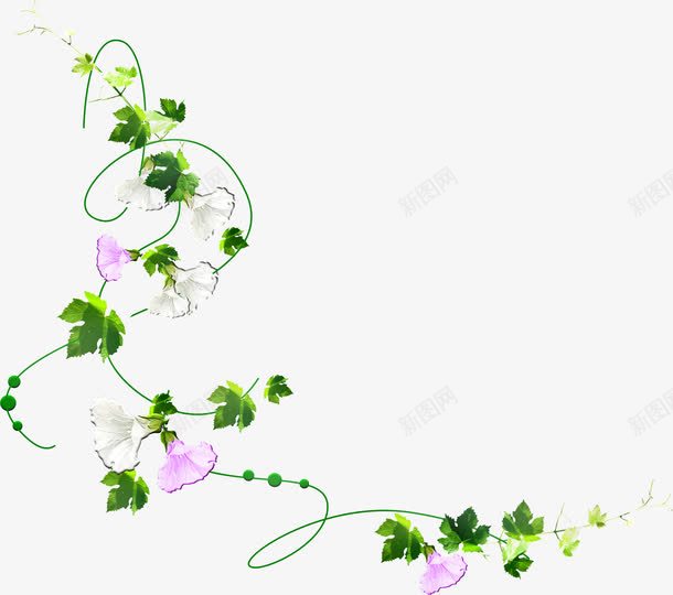 白紫花朵装饰png免抠素材_新图网 https://ixintu.com 白紫 素材 花朵 装饰