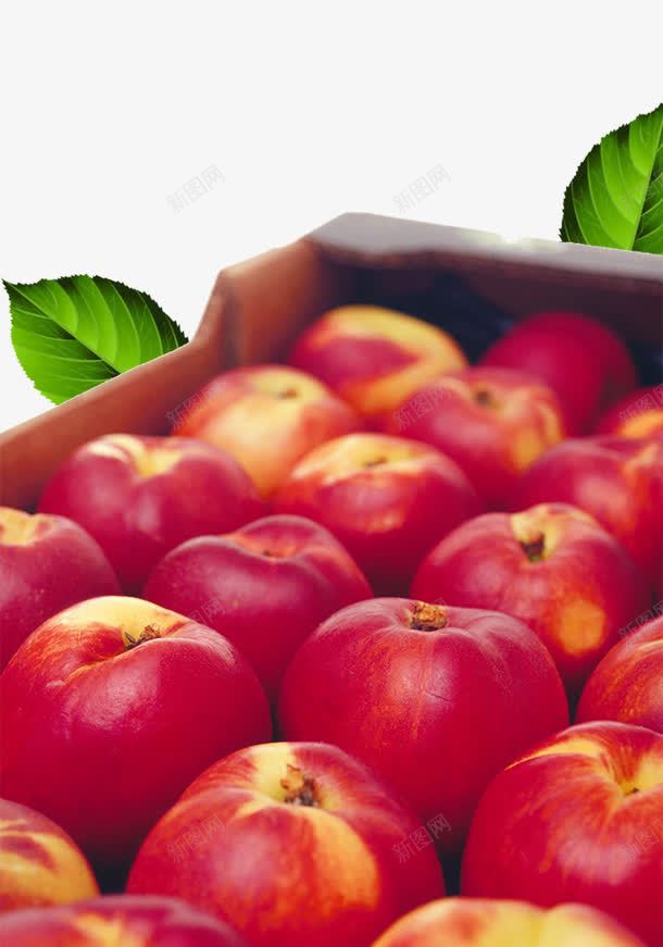 一盒水果苹果李子png免抠素材_新图网 https://ixintu.com 3d水果 一盒水果 李子 盒装水果 立体水果 苹果