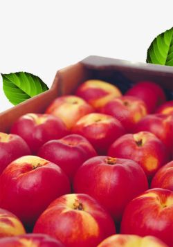 一盒水果一盒水果苹果李子高清图片