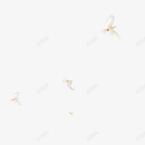 白色和平鸽装饰图案png免抠素材_新图网 https://ixintu.com 和平鸽 图案 白色 装饰 设计