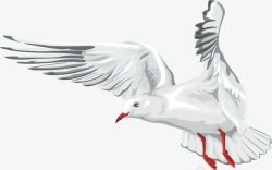 白色清新飞鸽装饰图案素材