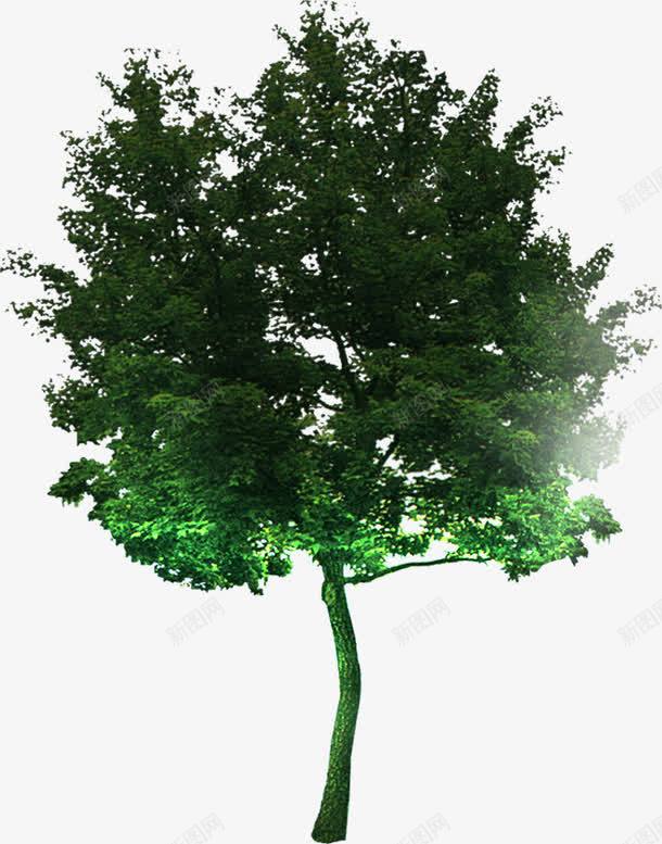 摄影创意绿色树木合成效果png免抠素材_新图网 https://ixintu.com 创意 合成 摄影 效果 树木 绿色