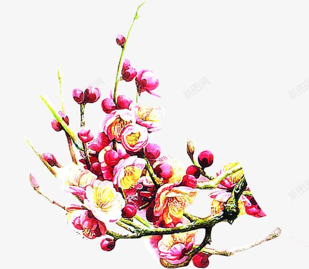 手绘桃花新年png免抠素材_新图网 https://ixintu.com 新年 桃花 素材