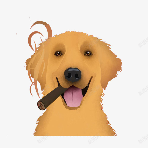 抽烟的狗狗png免抠素材_新图网 https://ixintu.com 忠诚 手绘 棕色的毛发 欢快的眼神 狗狗 金毛卡通