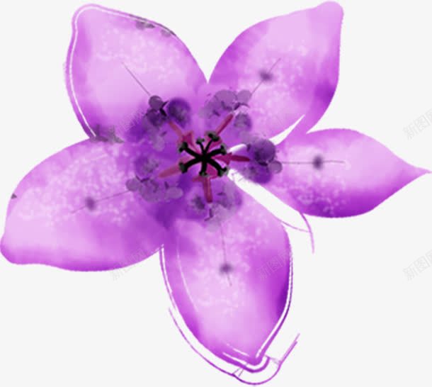 创意合成紫色的花卉效果png免抠素材_新图网 https://ixintu.com 创意 合成 效果 紫色 花卉