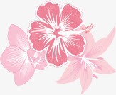 粉色梦幻花朵植物手绘素材