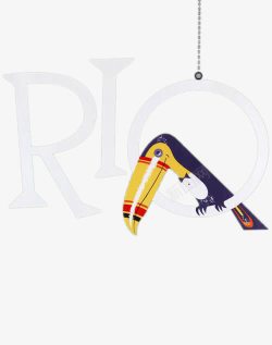 英文RIO英文RIO与鹦鹉高清图片