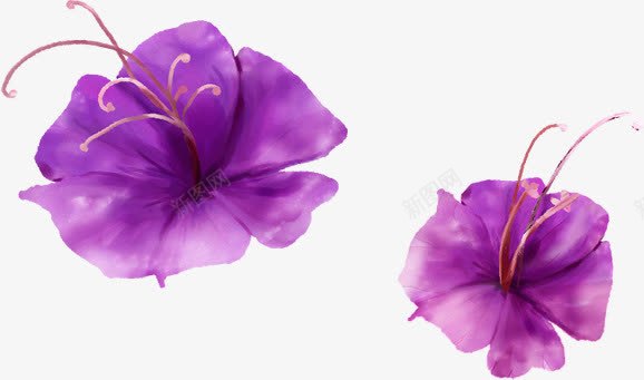 紫色花卉童鞋海报png免抠素材_新图网 https://ixintu.com 海报 紫色 花卉