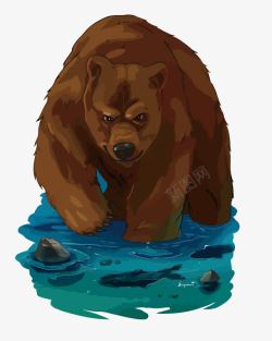 熊抓鱼素材