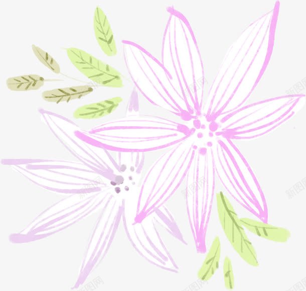 手绘粉色线条花朵纹理png免抠素材_新图网 https://ixintu.com 粉色 纹理 线条 花朵