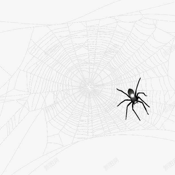 织网的蜘蛛png免抠素材_新图网 https://ixintu.com 织网 蜘蛛 雨天 黑色