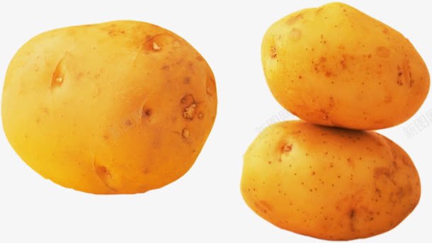 黄色马铃薯png免抠素材_新图网 https://ixintu.com 三个马铃薯 土豆 食材 黄色