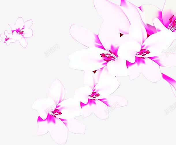 白紫色植物小清新花朵png免抠素材_新图网 https://ixintu.com 植物 清新 紫色 花朵