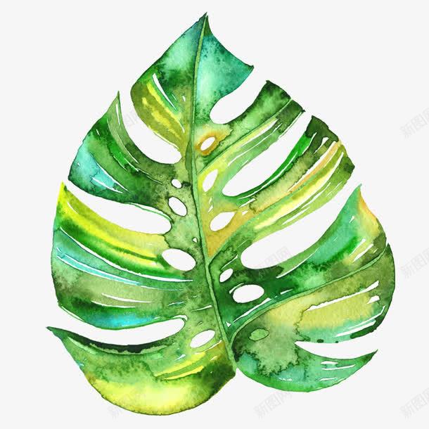 绿色水彩一片叶子装饰图案png免抠素材_新图网 https://ixintu.com 一片叶子 免抠PNG 水彩 绿叶 绿色 装饰图案