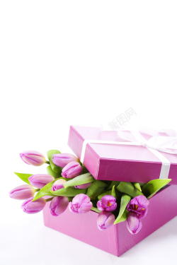 粉色礼盒花语物语素材