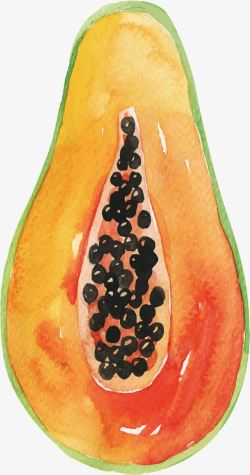 一半木瓜水彩手绘木瓜高清图片