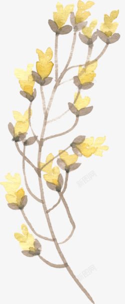 手绘水彩黄色花骨朵素材