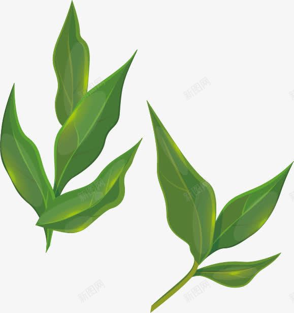 绿色叶子png免抠素材_新图网 https://ixintu.com 叶子 玻璃质感 琉璃质感 绿色 茶