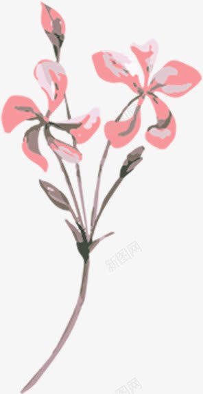 创意合成水彩花卉植物花朵png免抠素材_新图网 https://ixintu.com 创意 合成 植物 水彩 花卉 花朵