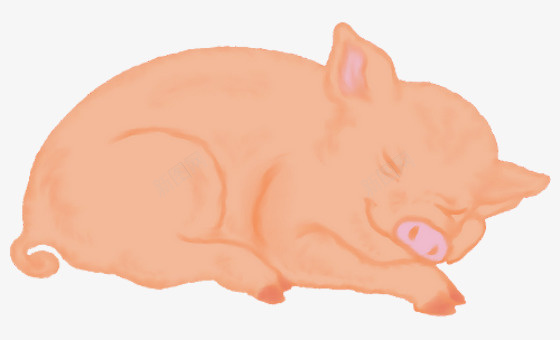 卡通熟睡的猪png免抠素材_新图网 https://ixintu.com 乳猪 卡通手绘 熟睡 猪