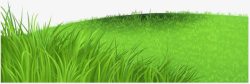 绿油油的小草一片绿地高清图片