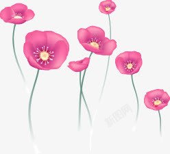 手绘粉色可爱唯美花朵素材