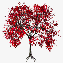 红色唯美绘图树素材