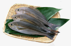 三条鱼生鱼放在竹篓素材