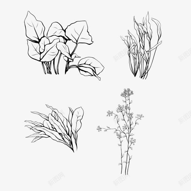 植物纹理png免抠素材_新图网 https://ixintu.com 叶子 底纹 植物 纹理 装饰