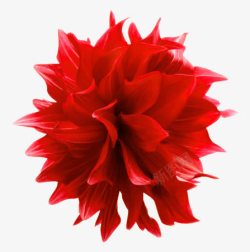 红色飘逸花卉艺术图案素材