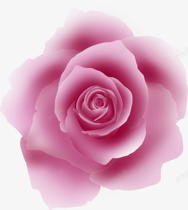 粉色卡通艺术花朵玫瑰png免抠素材_新图网 https://ixintu.com 卡通 玫瑰 粉色 艺术 花朵