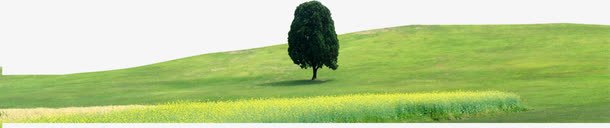 夏日海报植物草坪png免抠素材_新图网 https://ixintu.com 夏日 植物 海报 草坪