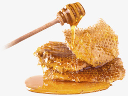 蜂蜜棒与蜂巢板素材