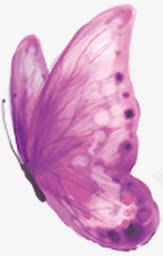 创意海报教师节紫色蝴蝶素材