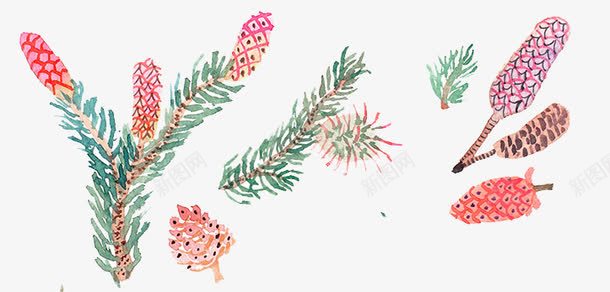 彩绘松果松叶图案png免抠素材_新图网 https://ixintu.com 创意植物花纹 动物彩绘 手绘花纹图案