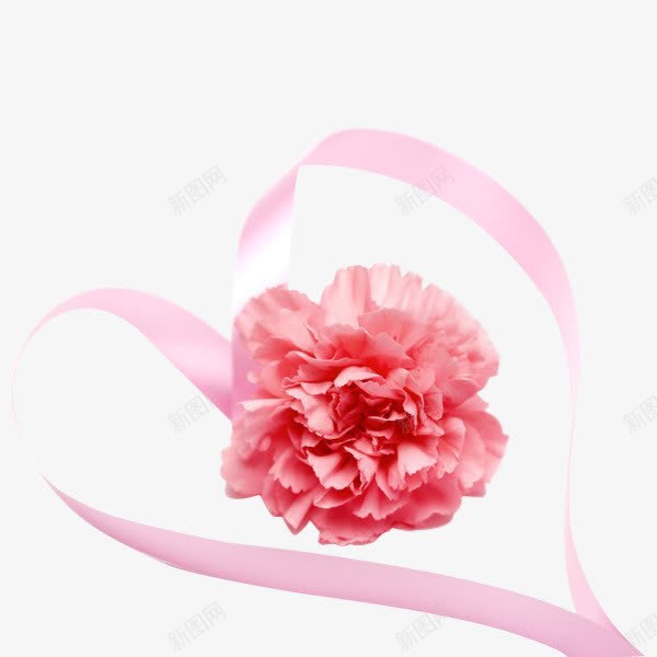 杜鹃花丝带png免抠素材_新图网 https://ixintu.com 丝带 杜鹃花 粉色丝带 粉色杜鹃