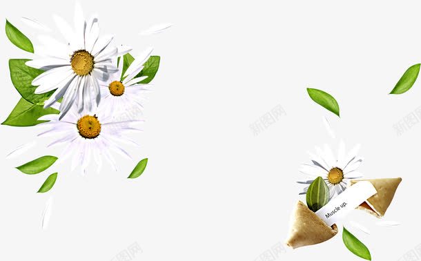 白色简约花朵装饰春天png免抠素材_新图网 https://ixintu.com 春天 白色 简约 花朵 装饰