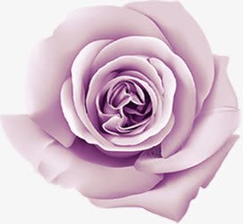 紫色效果卡通花朵png免抠素材_新图网 https://ixintu.com 卡通 效果 紫色 花朵