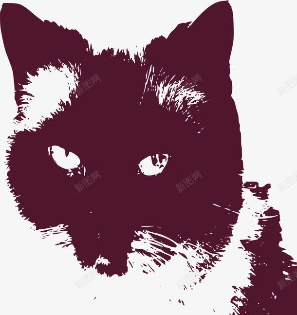 黑色的波斯猫png免抠素材_新图网 https://ixintu.com 动物 波斯猫 波斯猫插画 眼神 黑色
