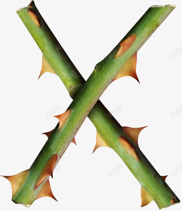 桔梗字母Xpng免抠素材_新图网 https://ixintu.com X 创意 卡通 字母 手绘 桔梗 棕色 植物 绿色