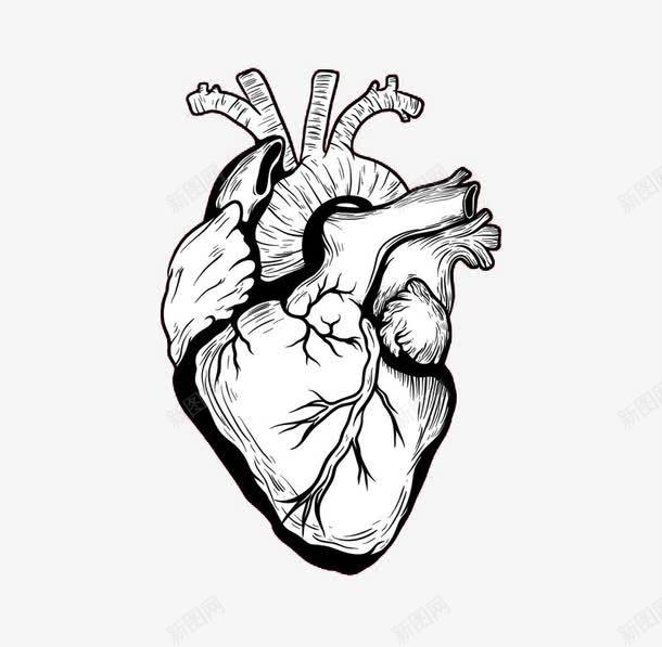 黑色手绘心脏图png免抠素材_新图网 https://ixintu.com 人体 器官 心脏 手绘 黑色