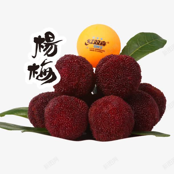 杨梅食物png免抠素材_新图网 https://ixintu.com 杨梅 水果 食物