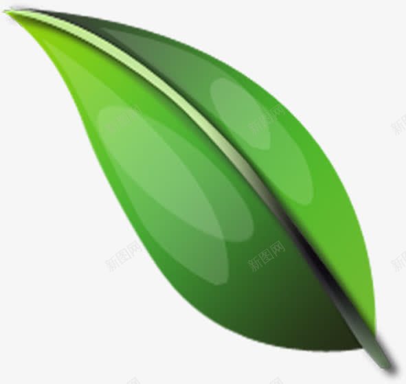 静止的绿色树叶png免抠素材_新图网 https://ixintu.com 树叶 素材 绿色 静止