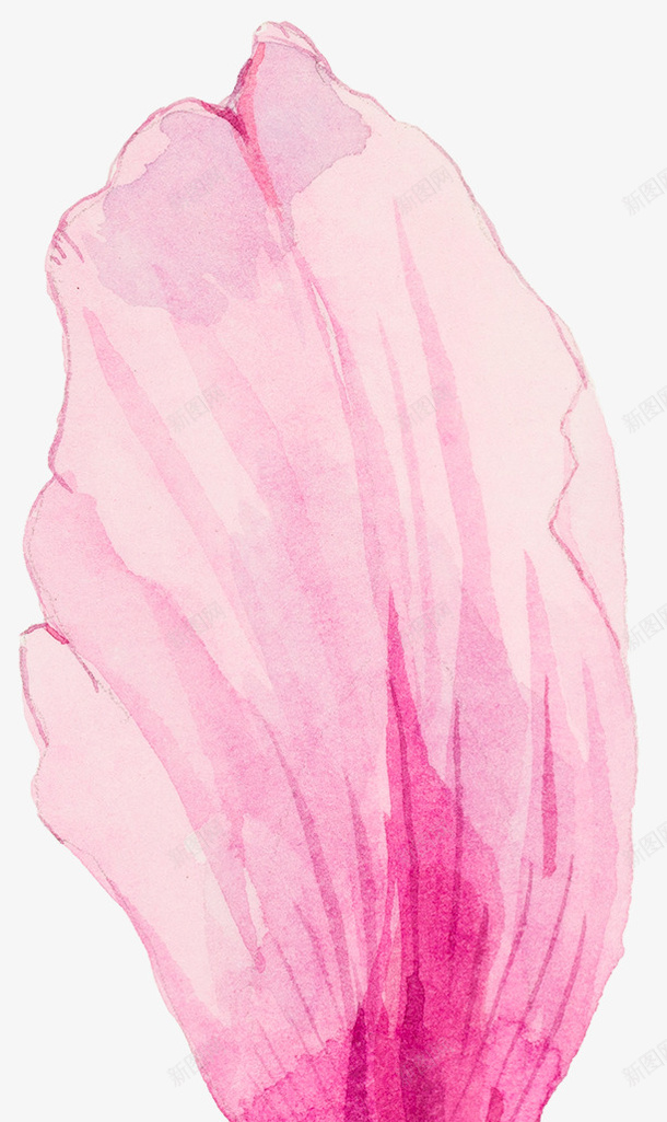 卡通手绘粉色的花瓣png免抠素材_新图网 https://ixintu.com 创意 动漫动画 卡通 手绘 水彩 粉色的花瓣