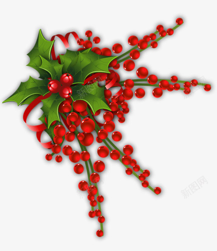圣诞装叶子和红果png免抠素材_新图网 https://ixintu.com 叶子 圣诞 圣诞装饰 红果