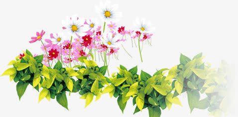 春天粉白色花朵植物png免抠素材_新图网 https://ixintu.com 春天 植物 粉白色 花朵