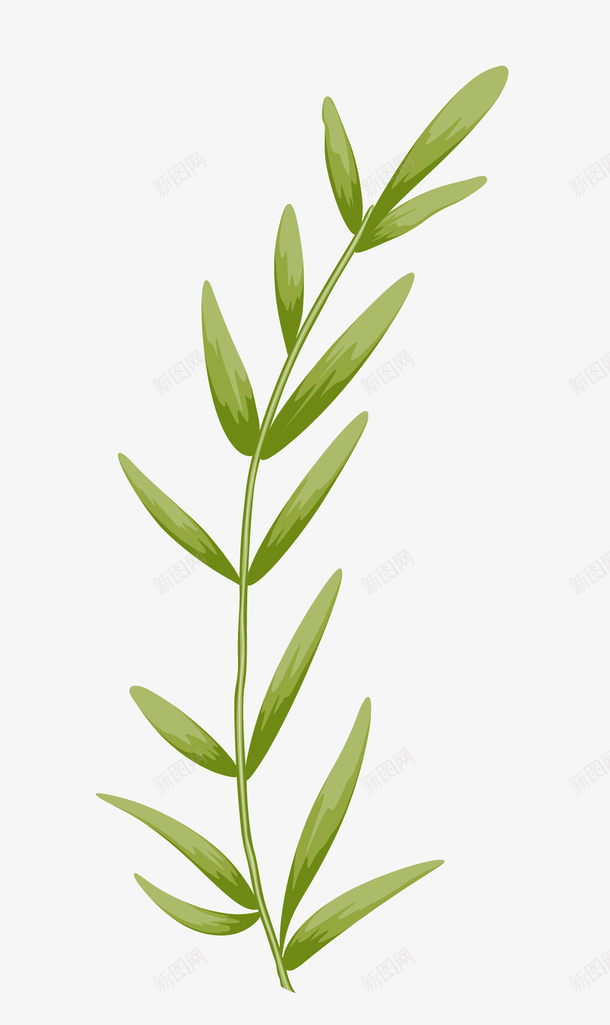 手绘的绿叶子png免抠素材_新图网 https://ixintu.com png图形 png装饰 手绘 植物 绿叶子 装饰